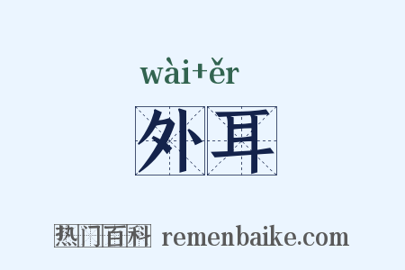 外耳是什么意思的图片
